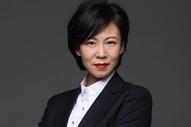 仿真枪、气枪、打猎枪，私自收藏持有全部涉刑